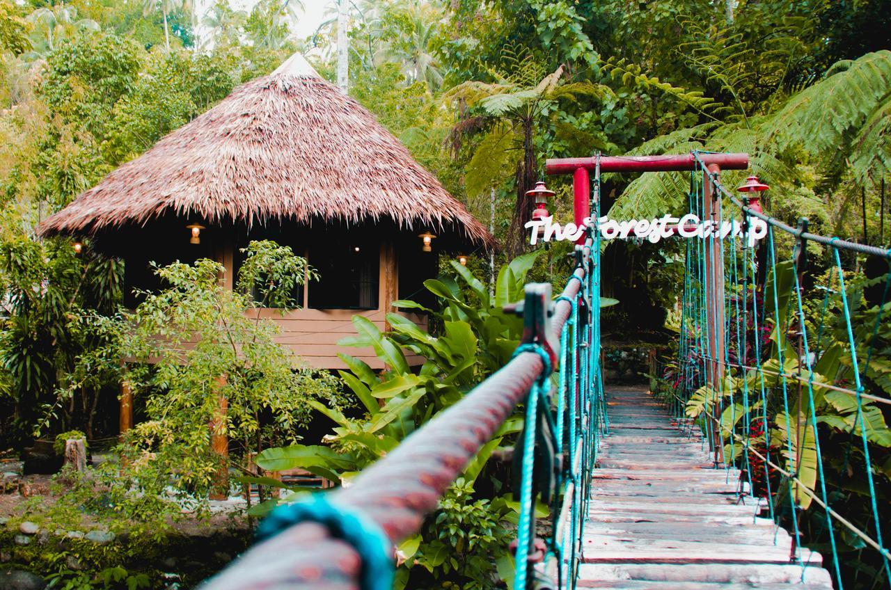 Forest Camp Resort Valencia  Εξωτερικό φωτογραφία