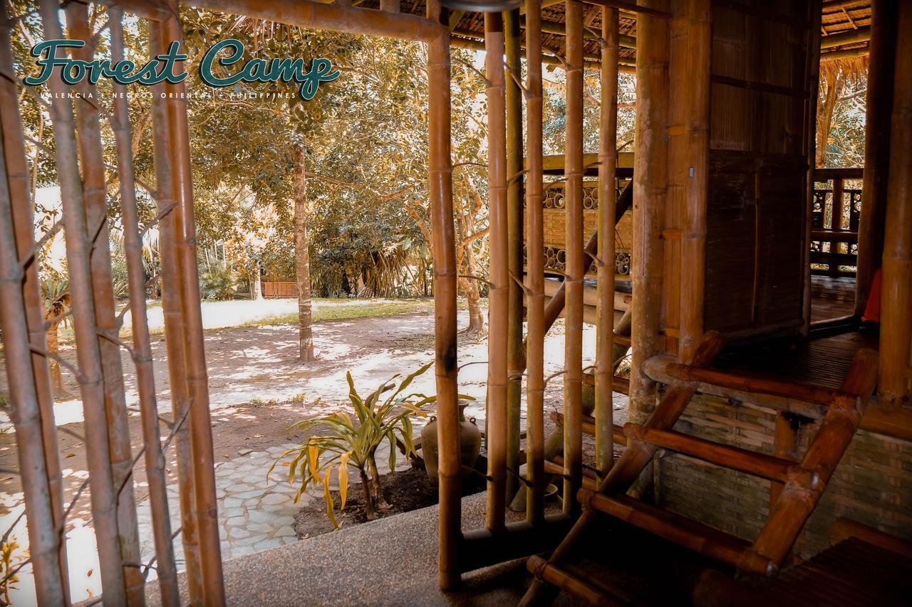 Forest Camp Resort Valencia  Εξωτερικό φωτογραφία