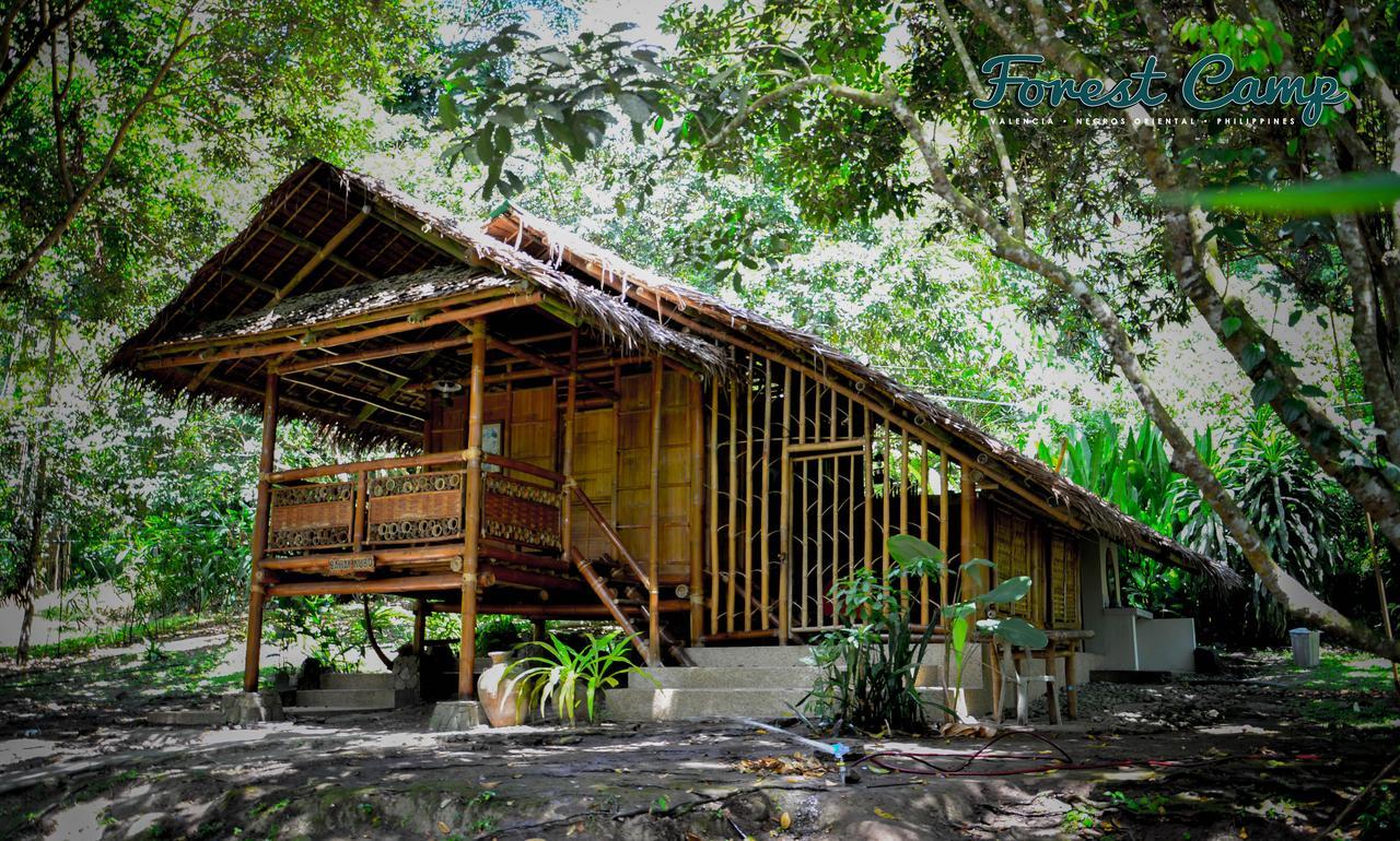 Forest Camp Resort Valencia  Εξωτερικό φωτογραφία